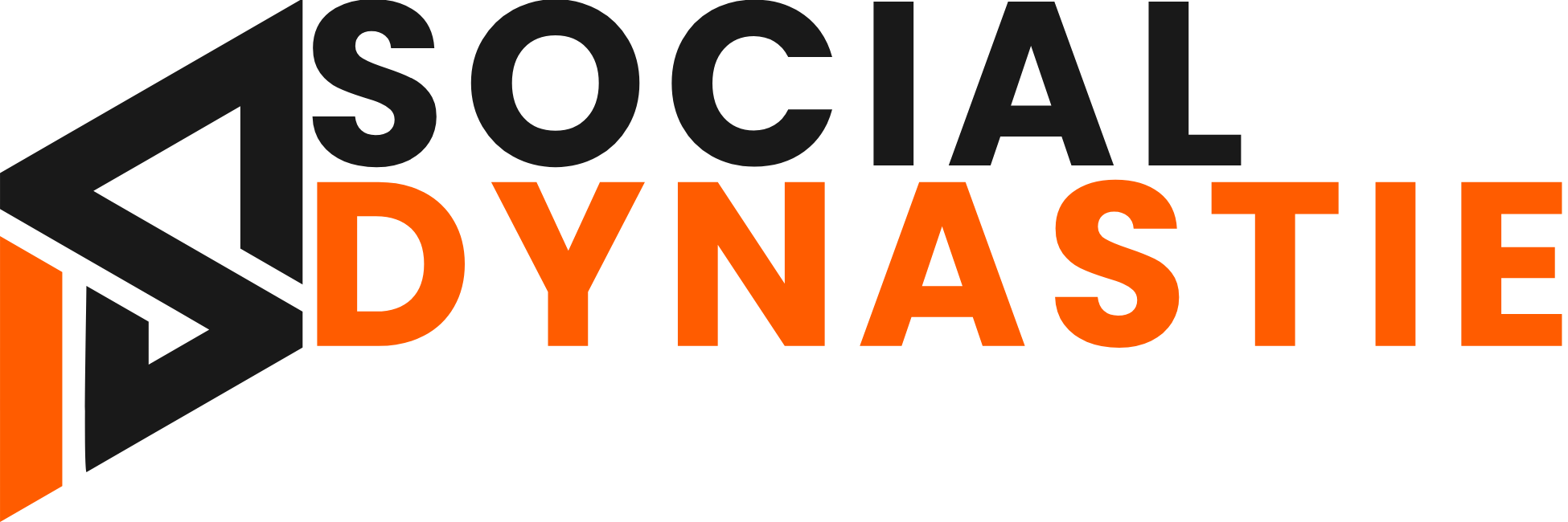 Social Dynastie 